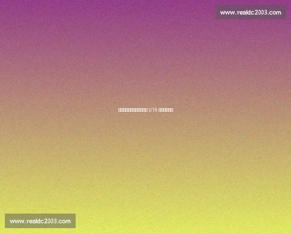 中国小将丁琰栩助力西班牙 U16 优选联赛季军