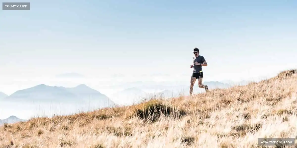 行业领先的理由